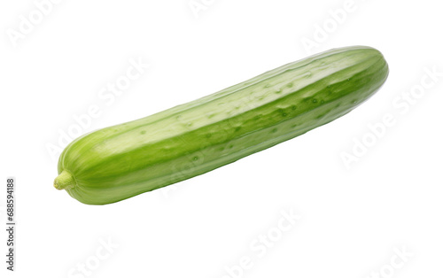 Chinese Cucumber On Isolated Background