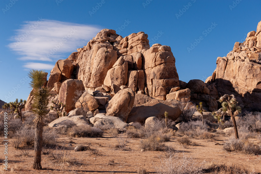 Landscape shot of Joshua tree national park around sunset. Landscape shot of Joshua tree national park around sunset.