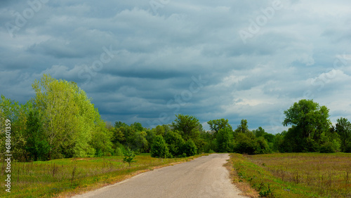 Forest Before the Rain and Asphalt Road.