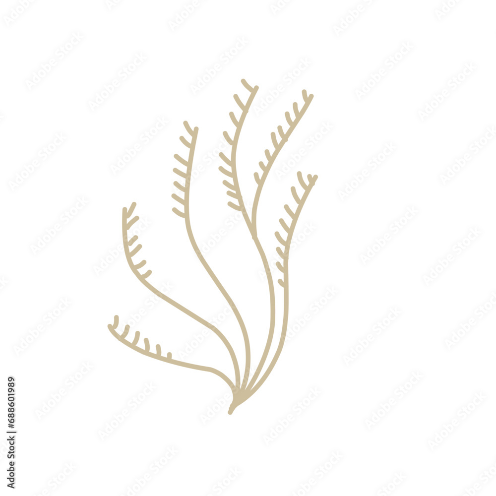 Underwater Plants Vector Illustration Underwater Plants Vector Illustration