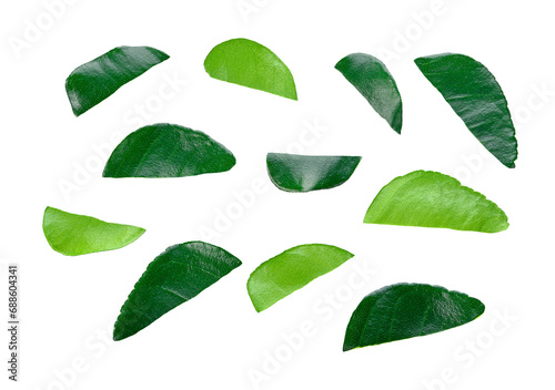 Kaffir lime leaf transparent png photo