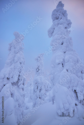 Lapland winter landscape, tree snow winter nature, christmas finland forest, frost mountain, arctic lapland sunset, scandinavia, idyllic north scenery sunrise, fairy tale