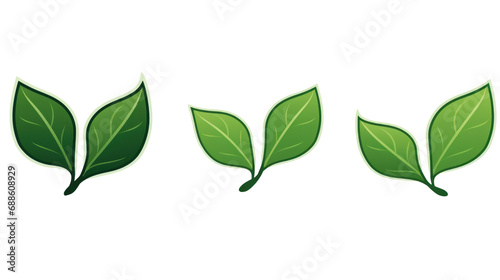 Set of leaves green leaf nature art illustration  white background  png