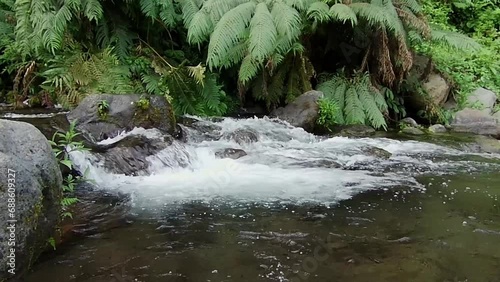 a river that flows in the mountains with clear water and various kinds of plants around