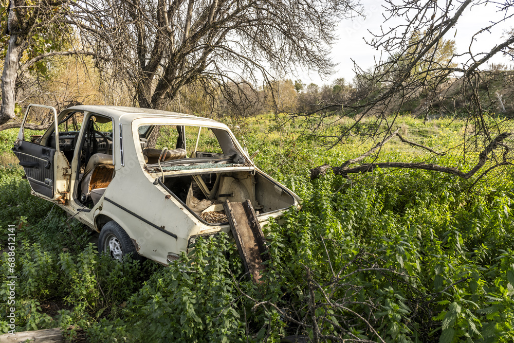 Remains of a 70s car devoured by mother nature in the middle of the countryside Remains of a 70s car devoured by mother nature in the middle of the countryside