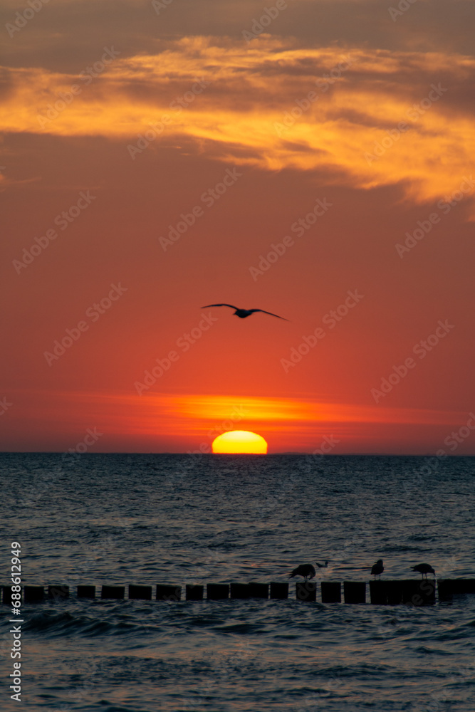 Sunset over the sea with breakwaters and birds