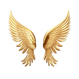 Golden angel wings isolated