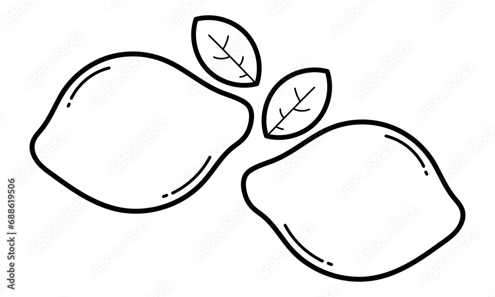 Hand drawn lime on white background with food and nature theme Hand drawn lime on white background with food and nature theme