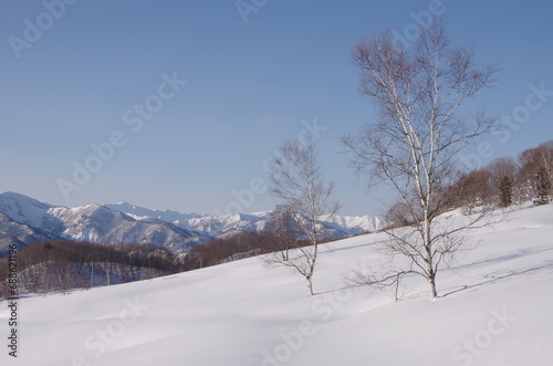 冬の雪原