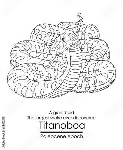 The largest snake ever discovered, Titanoboa, a giant boid, appeared in the Paleocene epoch. This epoch followed the extinction of the dinosaurs. Black and white line art, perfect for coloring.