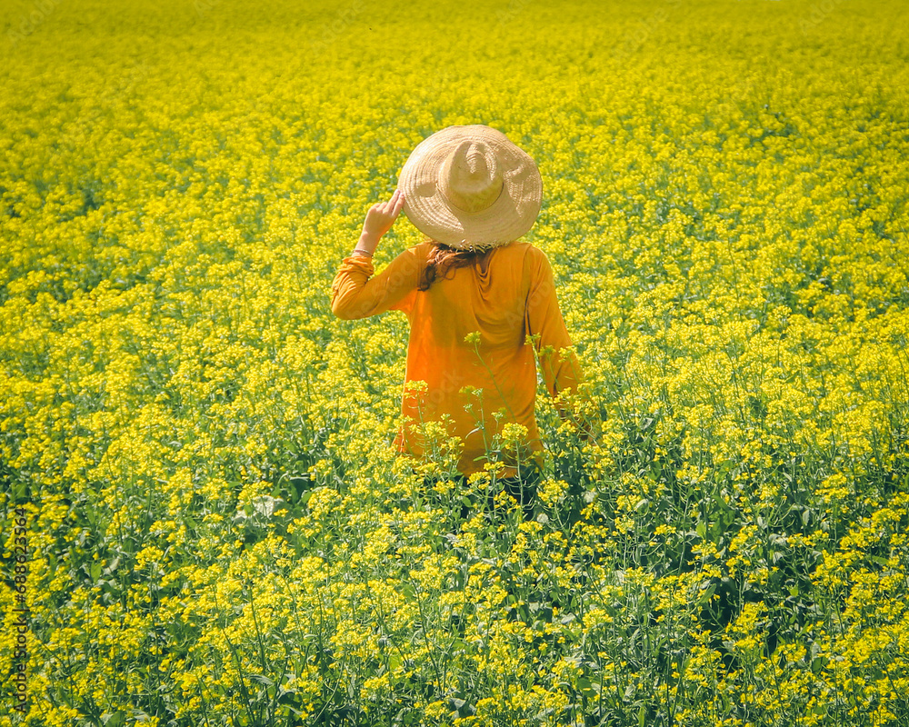Fototapeta premium mulher de costas não identificada vestida de amarelo com chapéu em campo de canola