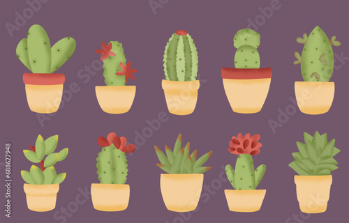 set of cactus flowers