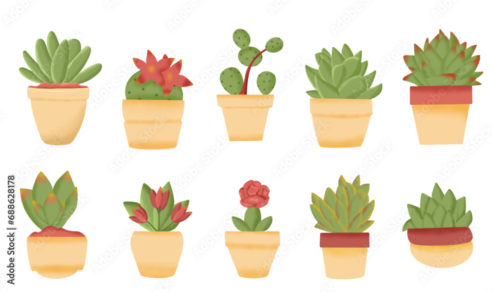 set of flowers in pots set of flowers in pots