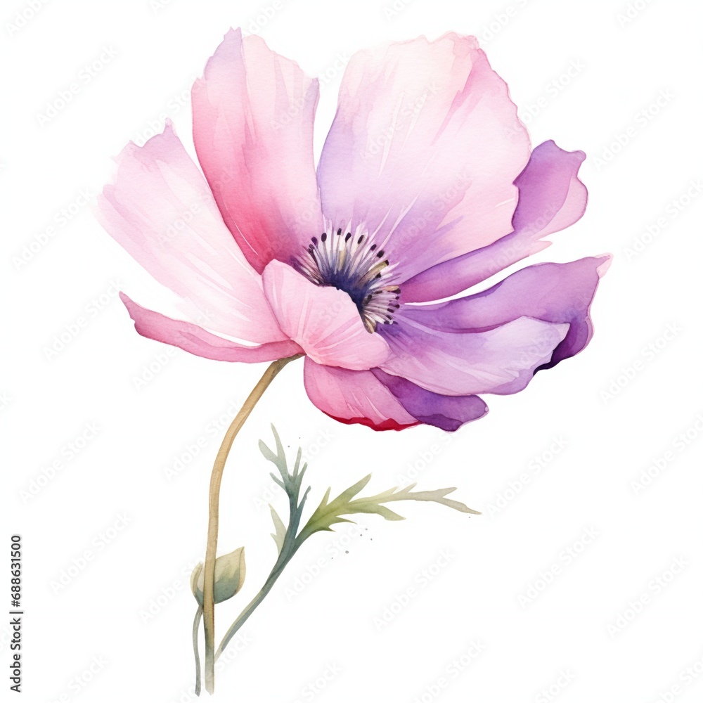 Obraz premium Watercolor wildflower and herb bouquets