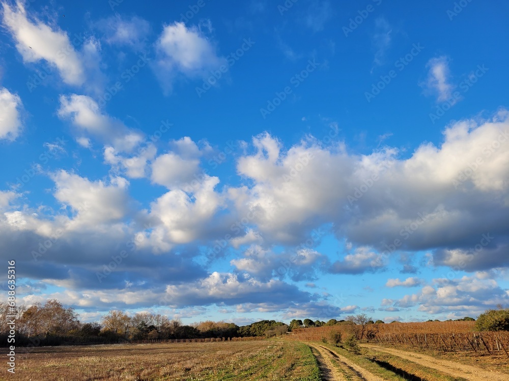 Plaine Languedoc Roussillon en hiver, grands espaces, ciel clair, beau temps , nuages, chemin et nature, zone agricole Occitanie, territoire rural , sud de la France