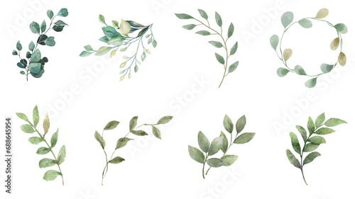 Colorful leaves and plants in watercolor. Greens, Jasmine and roses. Transparent background. Resource in png.