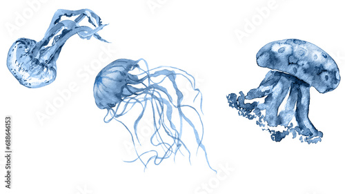 Fototapeta Naklejka Na Ścianę i Meble -  Blue sea jellyfish in watercolor. Transparent background. Resource in png.