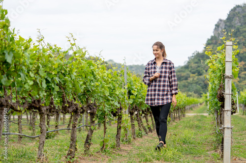 Wide shot of beautiful woman as gardener or farmer of grape yard walk and check the quality in the field with day light and she look happy.