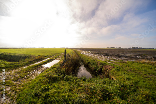 Country landscapes outside of the town of Ferwert, the Netherlands photo