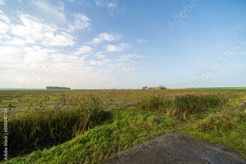 Agricultural fields near Blije, the Netherlands