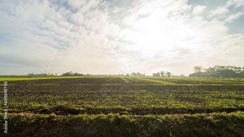 Agricultural fields near Blije, the Netherlands