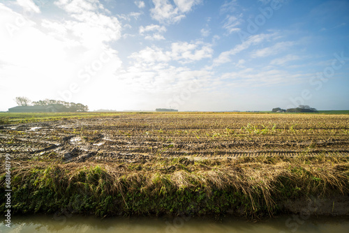 Agricultural fields near Blije, the Netherlands