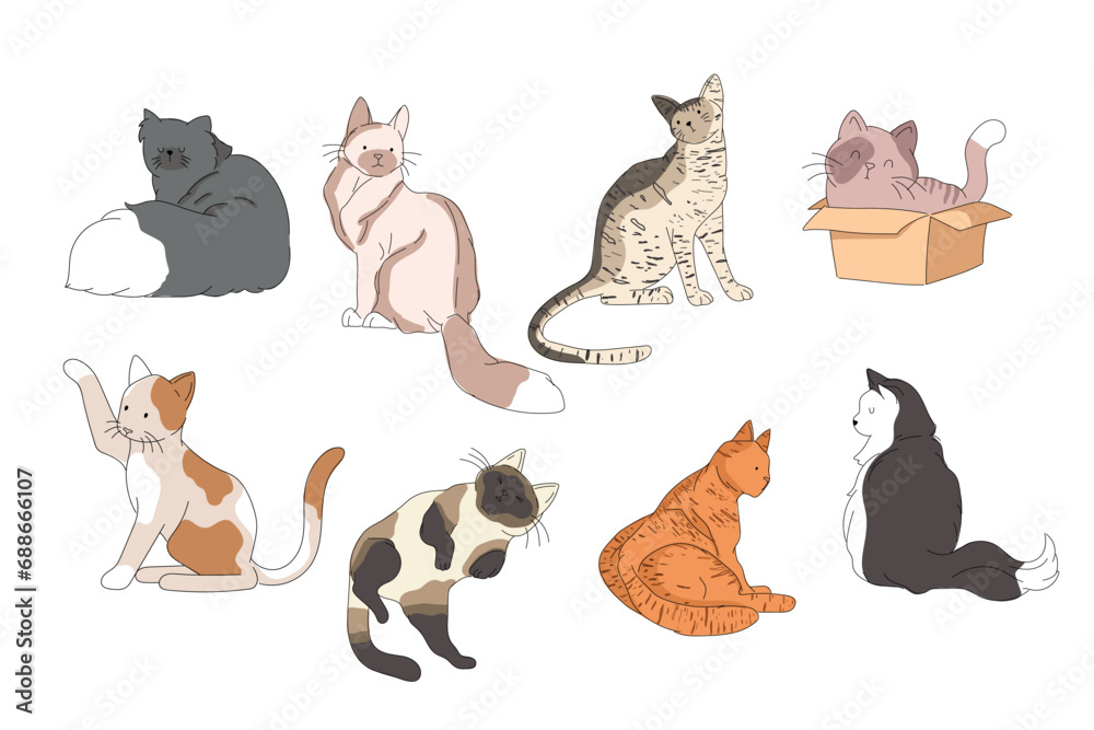 Collection of different cats. A set of cute and funny cats with different colors and breeds. Vector illustration