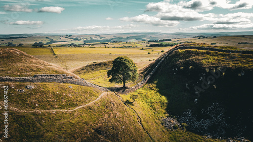 A tree in Sycamore Gap. Location where Robin Hood: Prince of Thieves was filmed in 1991 with actors like Kevin Costner, Morgan Freeman, Alan Rickman etc. photo