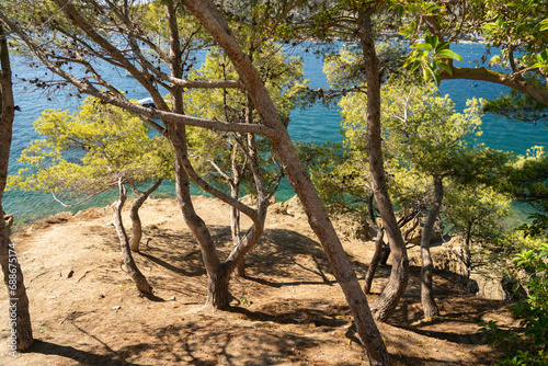 trees and transparent waters of the Costa Brava are ideal for snorkeling