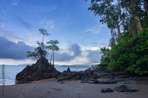 Beach and forest of Drake bay (Costa Rica) photo