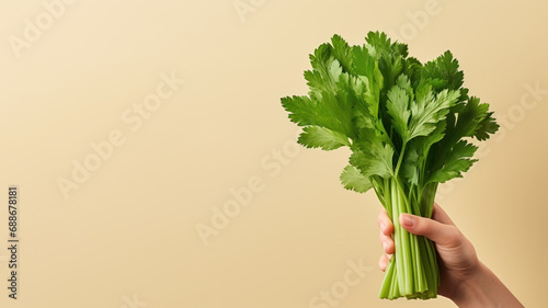 Hand holding celery vegetable isolated on pastel background