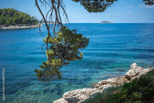 Adriatic sea shore at Cavtat, Croatia. Pine tree bent over blue clear water.
