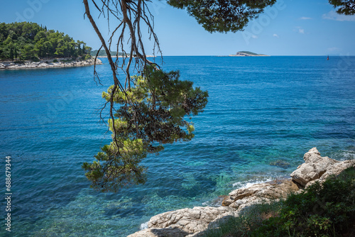 Fototapeta Naklejka Na Ścianę i Meble -  Adriatic sea shore at Cavtat, Croatia. Pine tree bent over blue clear water.