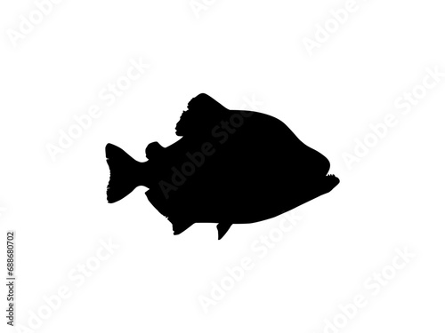 Piranha Fish Silhouette, can use for Logo Gram, Website, Art Illustration, Pictogram, Icon or Graphic Design Element. Vector Illustration 