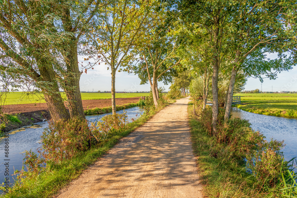 Summer and sunny day in the Alblasserwaard region in the Netherlands. A long and narrow country road is visible between ditches and rows of willow trees on either side in a Dutch polder landscape.