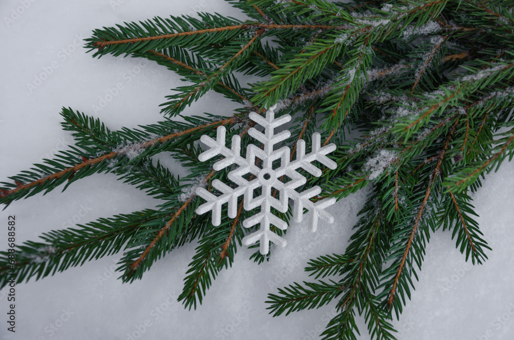 Snowflake on spruce branches in the snow