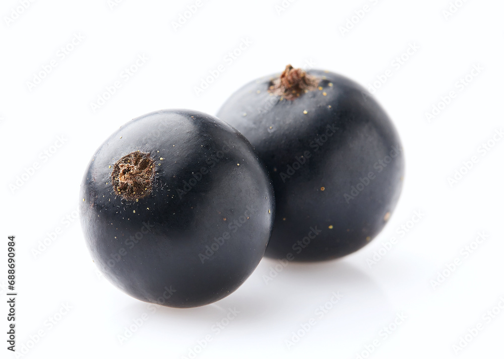 Black currant on white background Black currant on white background