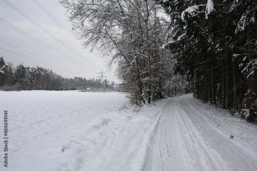 Obraz premium winter