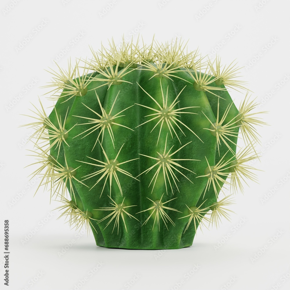 Realistic 3D Render of Golden Barrel Cactus Realistic 3D Render of Golden Barrel Cactus