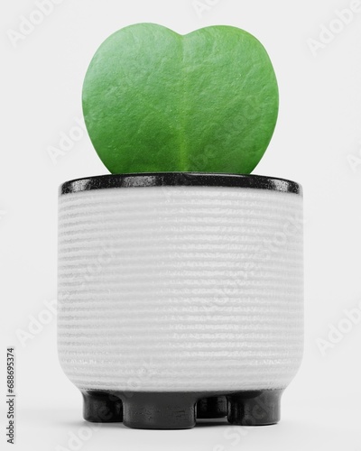 Realistic 3D Render of Hoya Plant photo