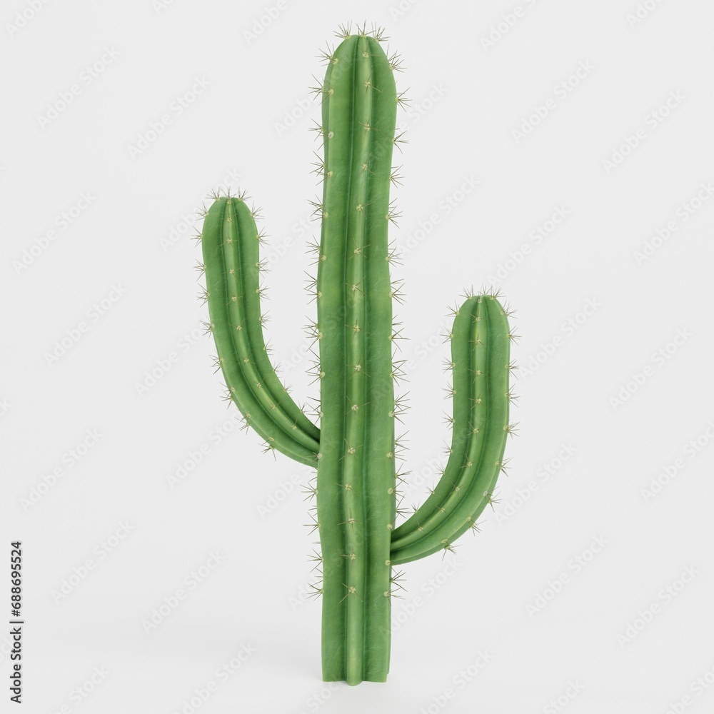 Fototapeta premium Realistic 3D Render of Saguaro Cactus