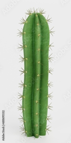 Realistic 3D Render of San Pedro Cactus