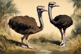 ostrich in the savannah