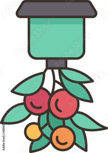 tomato  icon