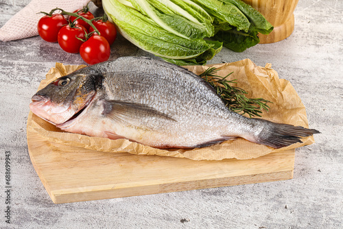 Raw dorada fish served rosemary