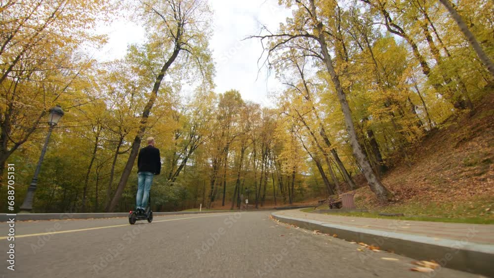 Winding road with pavements, hills, blanketed with multicolored leaves, young and old-growth trees, wooden bench, street lights on the side. Golden season. High quality 4k footage Winding road with pavements, hills, blanketed with multicolored leaves, young and old-growth trees, wooden bench, street lights on the side. Golden season. High quality 4k footage