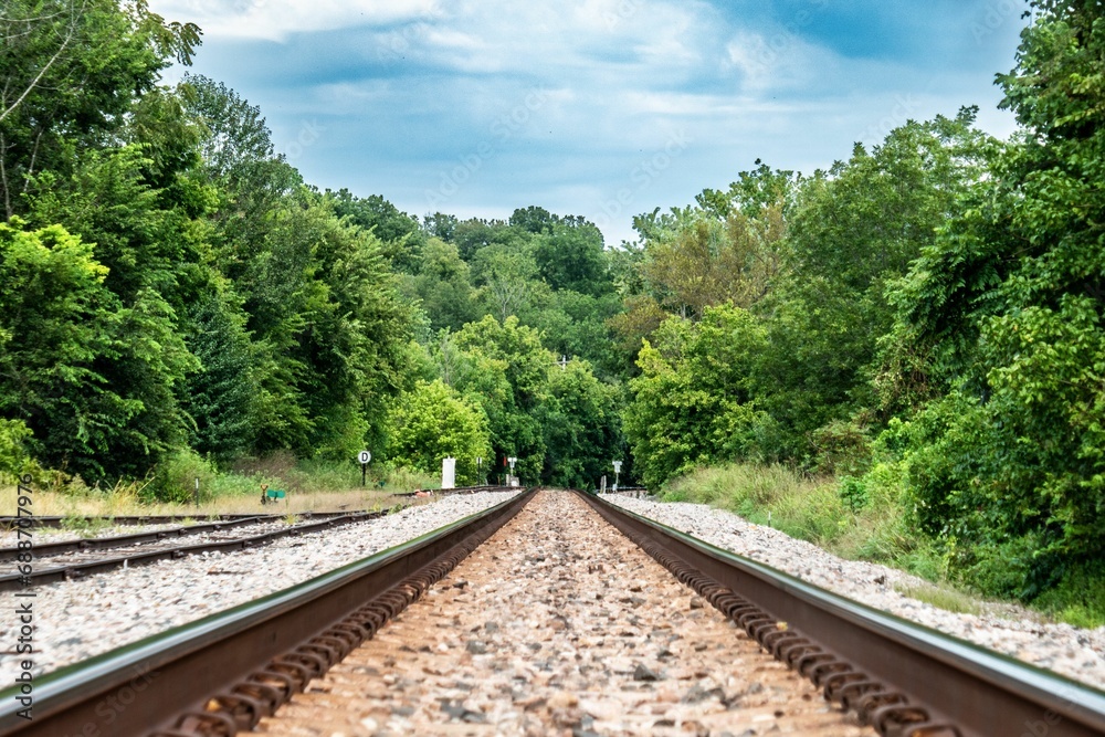 Obraz premium Train tracks in Hardy, Arkansas, USA through a forest, with trees dotted on either side