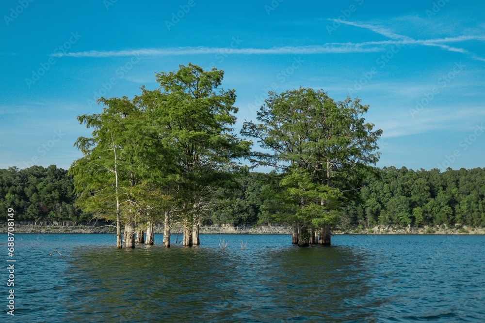 Tranquil scene of trees growing in the water of Lake Norfork, Arkansas, USA