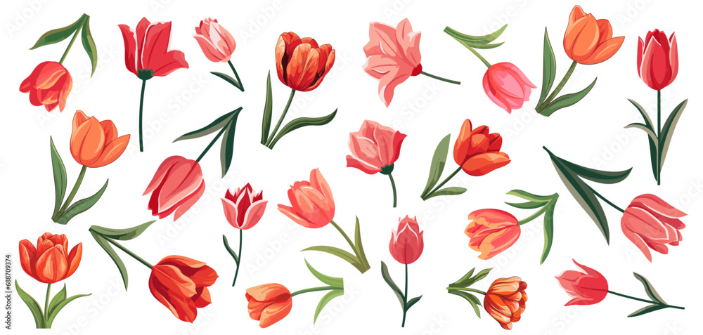 set of illustration of tulip. spring flower bundle tulips. isolated on a transparent background.