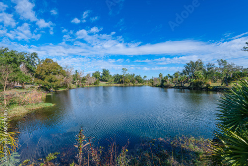 Fototapeta Naklejka Na Ścianę i Meble -  Tranquil reflects on the shores of Lake Caroline in Panama City, Florida, where the vibrant green foliage meets the serene blue sky, creating a picturesque lakeside haven.
